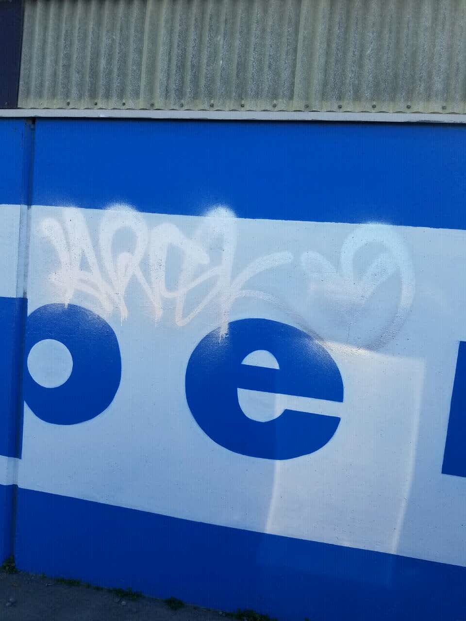 The photograph attached to this graffiti report