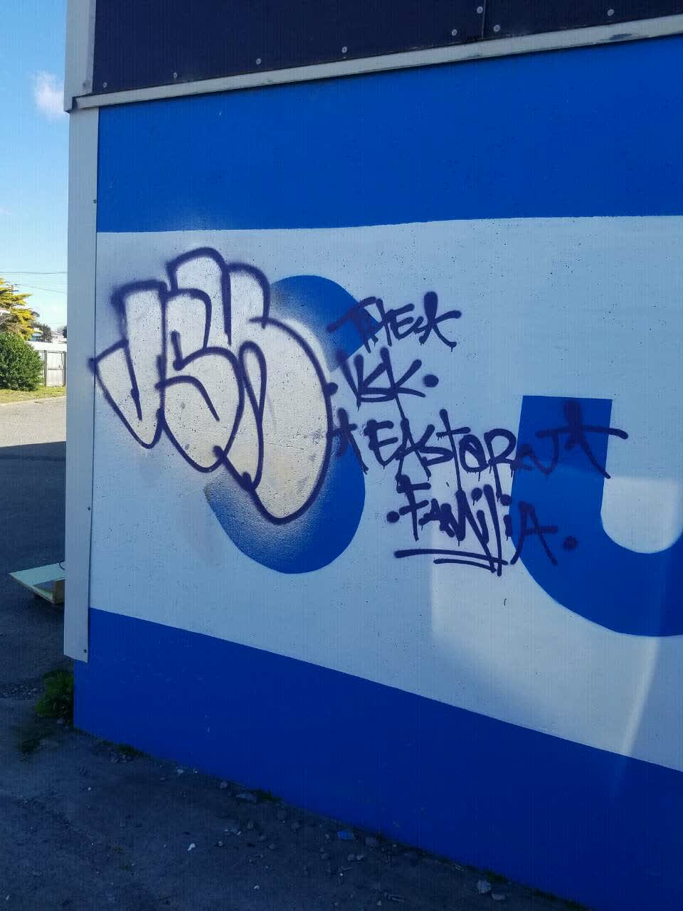 The photograph attached to this graffiti report