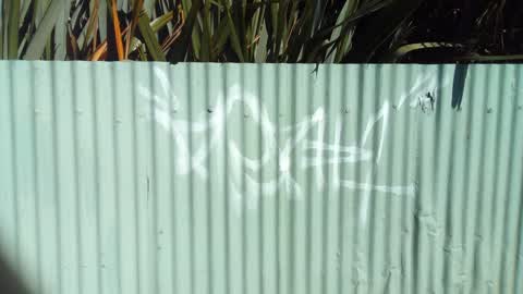 Graffiti, a report photo
