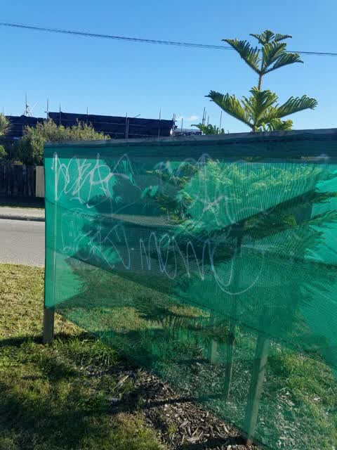 Graffiti, a report photo