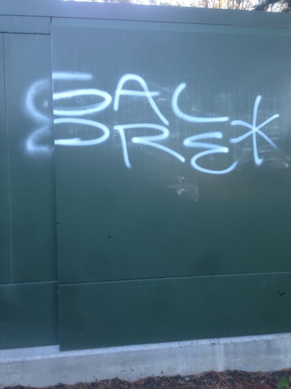 The photograph attached to this graffiti report