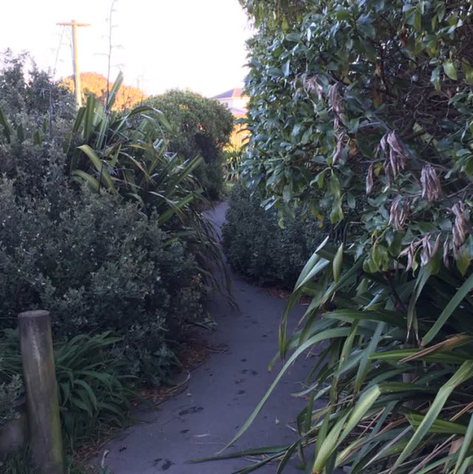 The photograph attached to this parks report