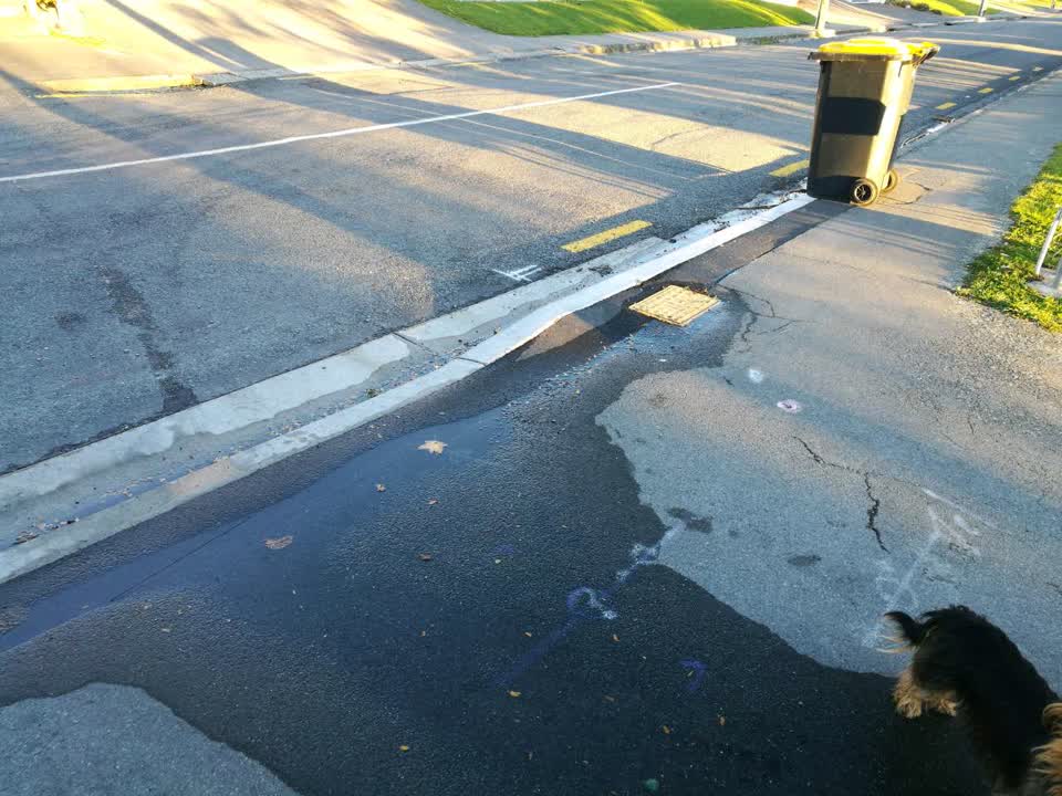 The photograph attached to this roading/streets report