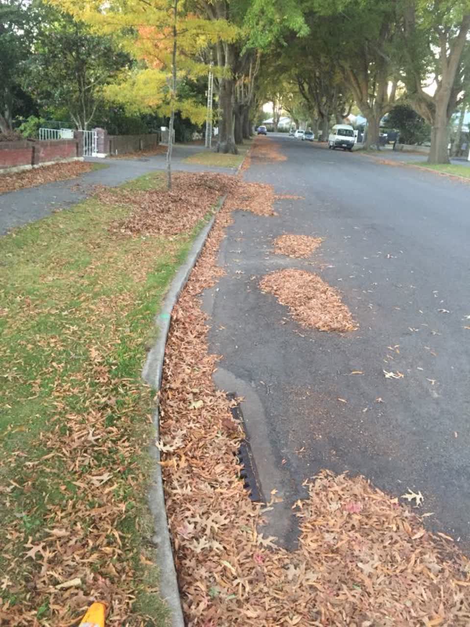 The photograph attached to this roading/streets report