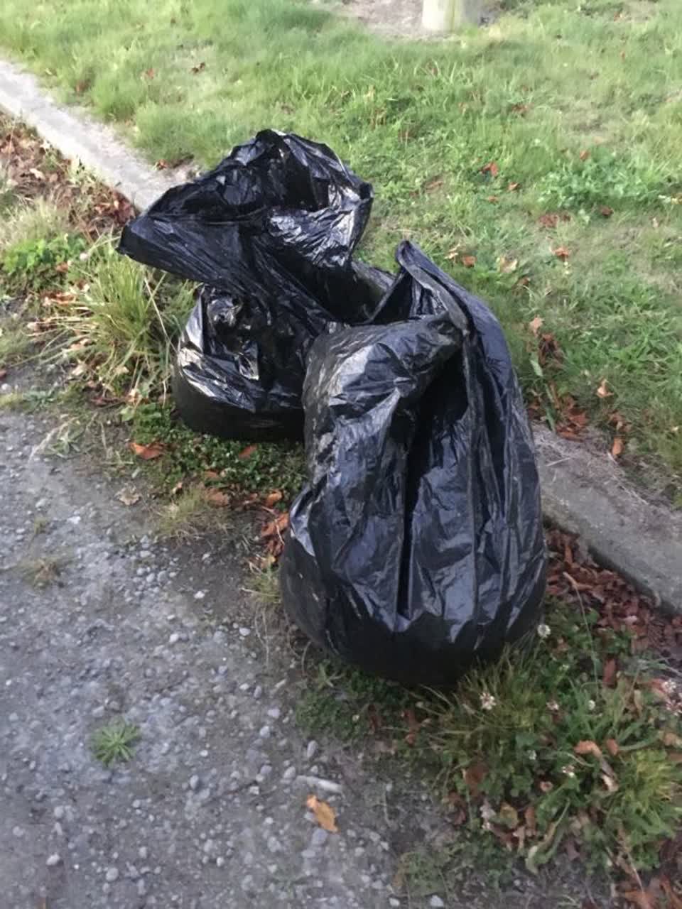The photograph attached to this rubbish/recycling report