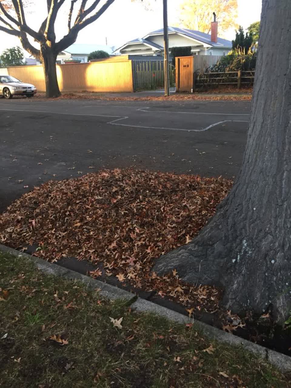 The photograph attached to this wastewater/stormwater report