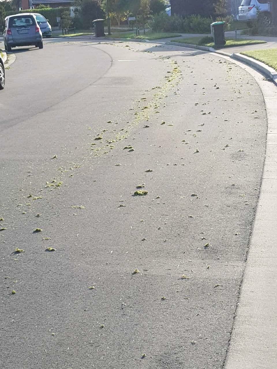 The photograph attached to this parks report