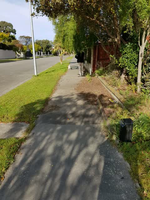 Roading/Streets, a report photo