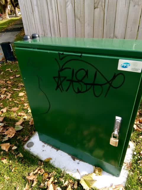 Graffiti, a report photo