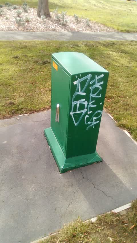 Graffiti, a report photo