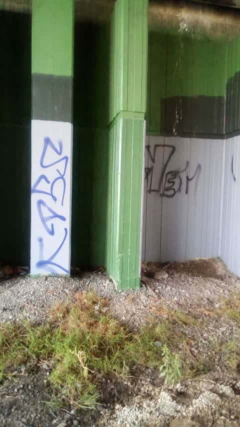 Graffiti, a report photo