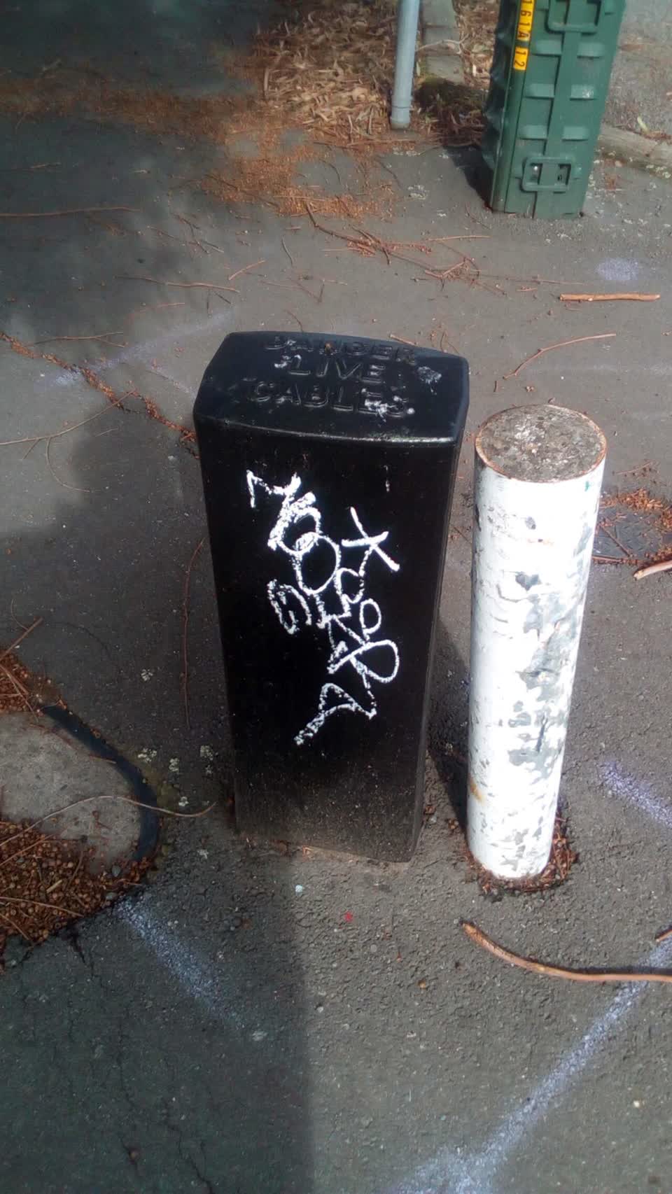 The photograph attached to this graffiti report