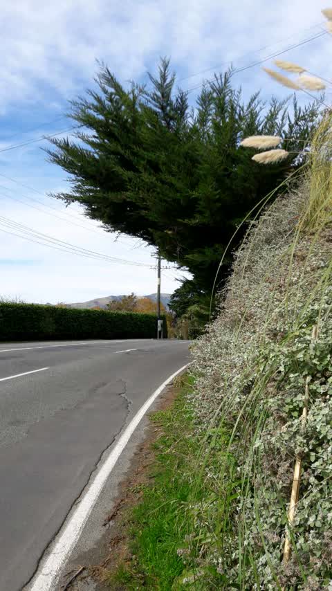 Roading/Streets, a report photo