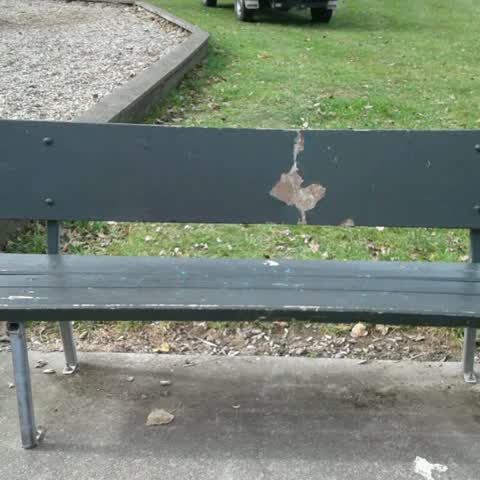 Parks, a report photo