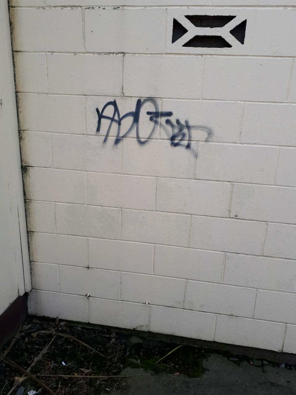 The photograph attached to this graffiti report
