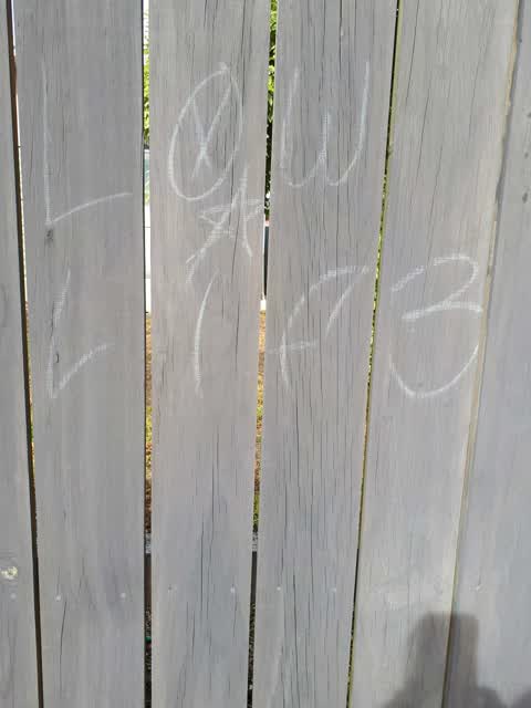 Graffiti, a report photo