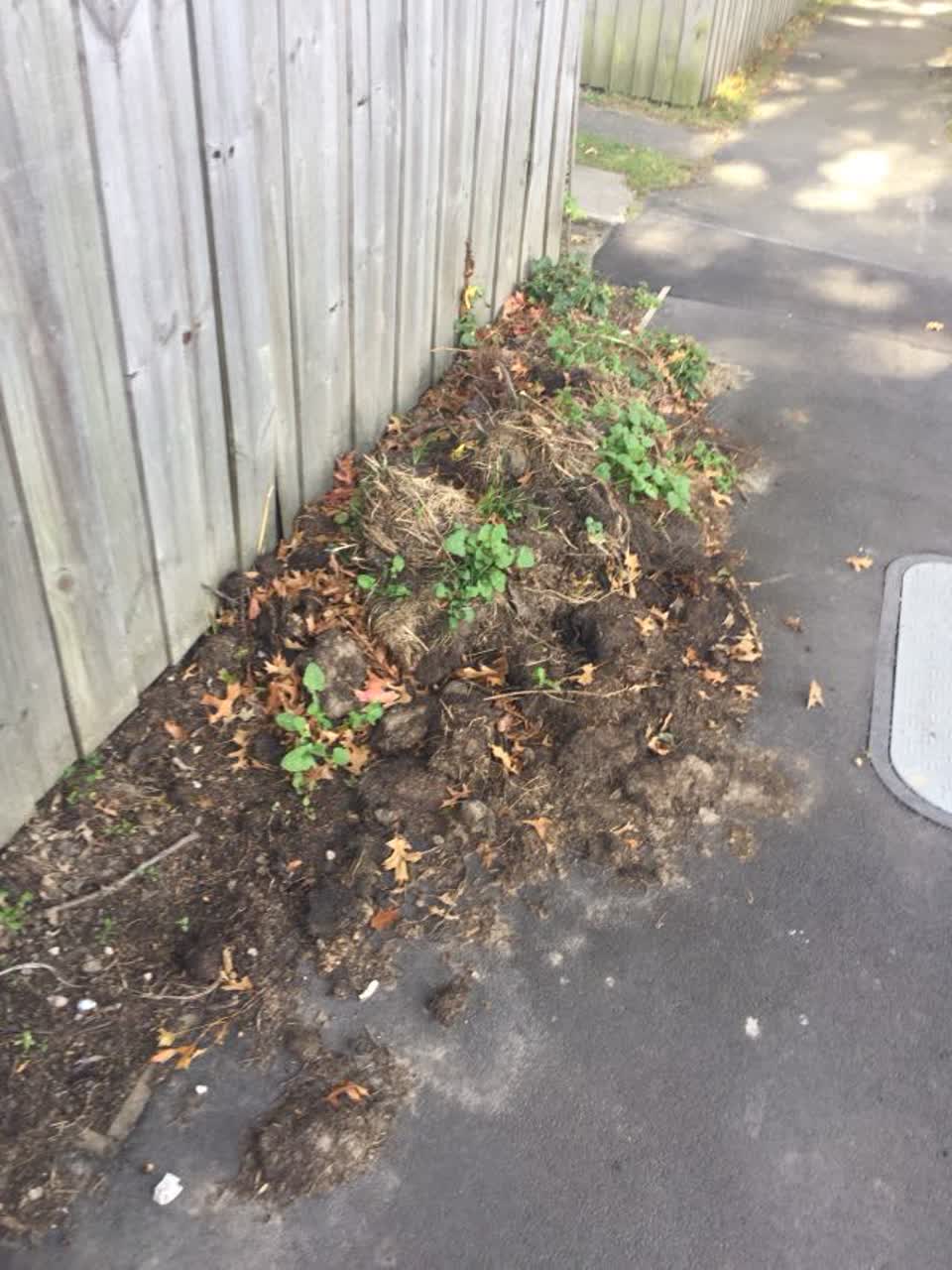 The photograph attached to this rubbish/recycling report