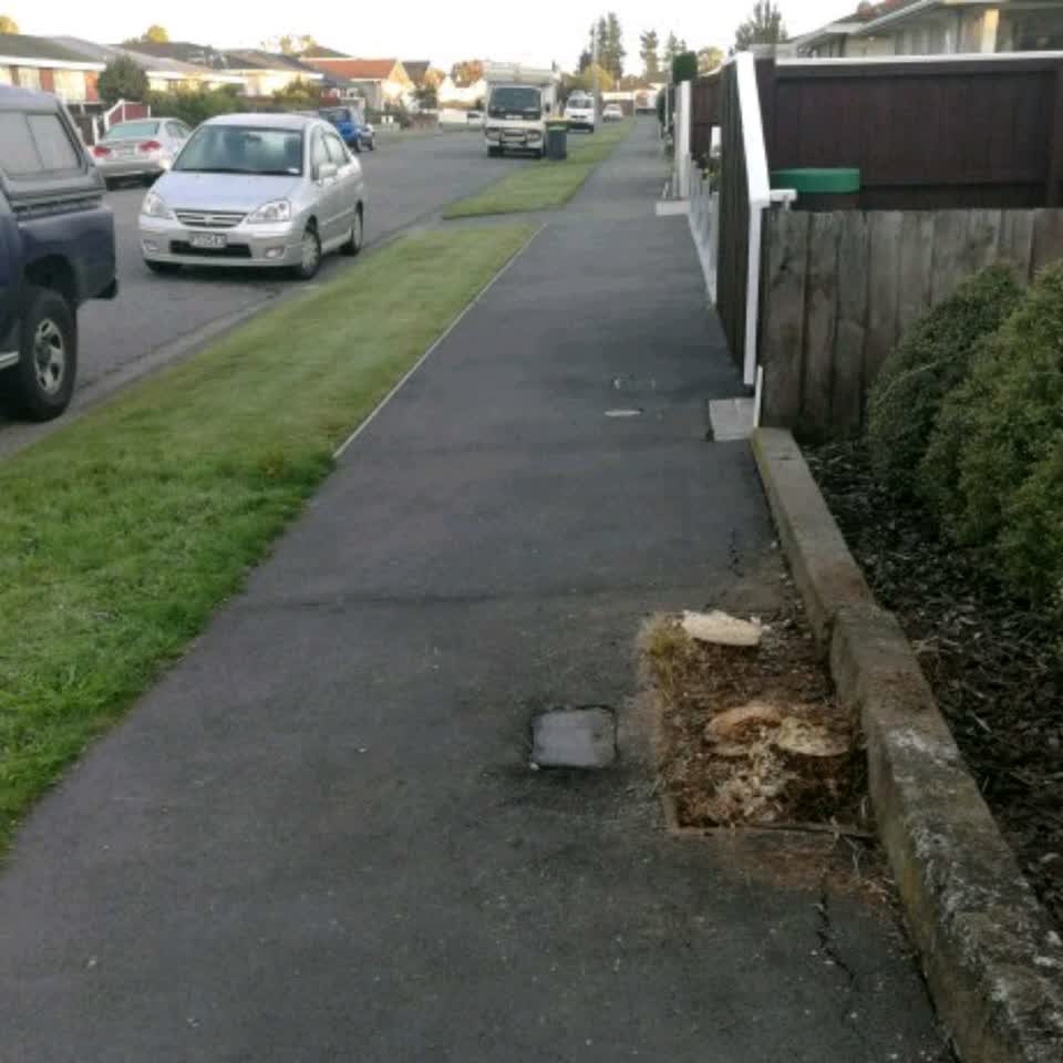 The photograph attached to this roading/streets report