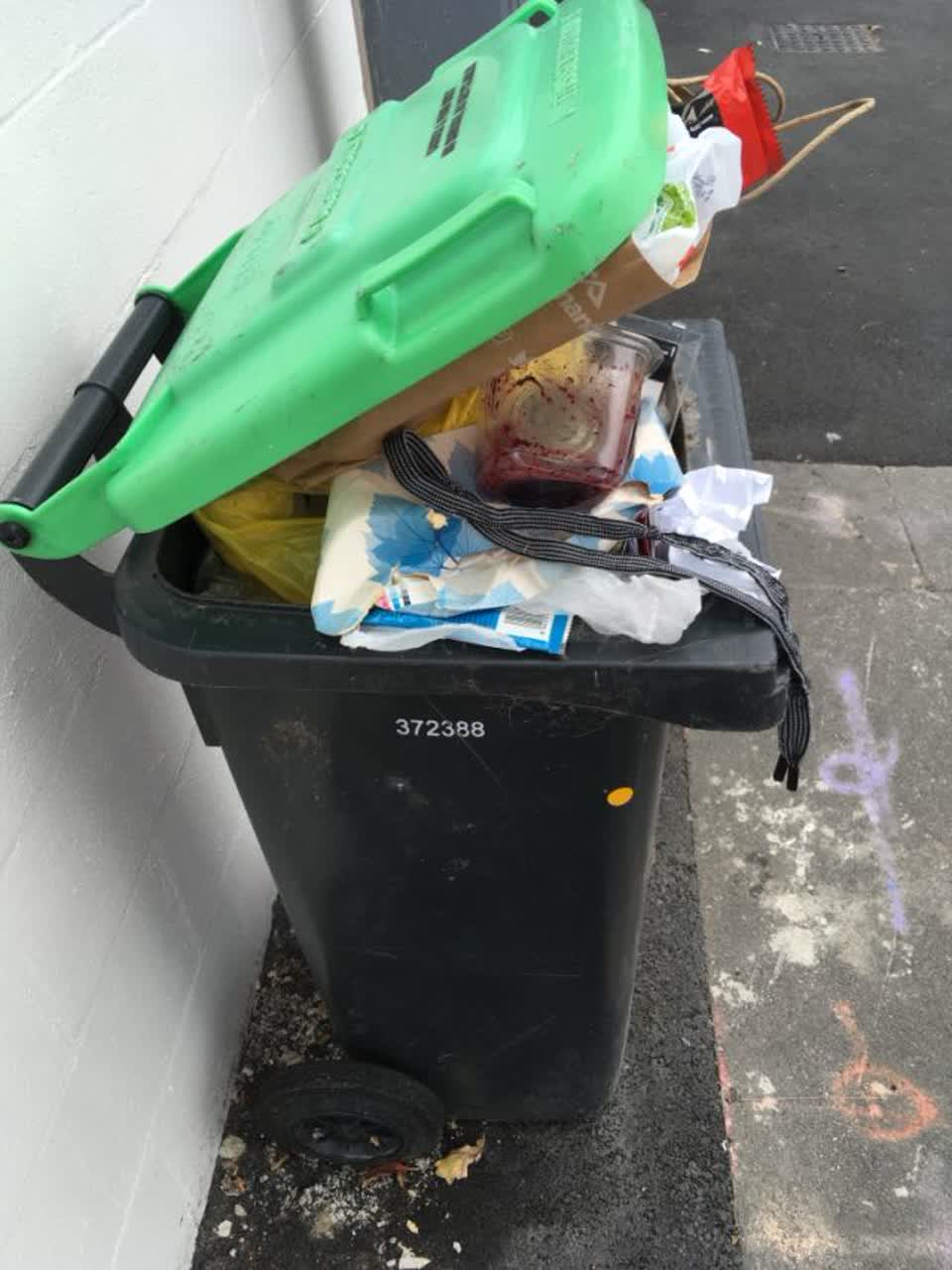 The photograph attached to this rubbish/recycling report