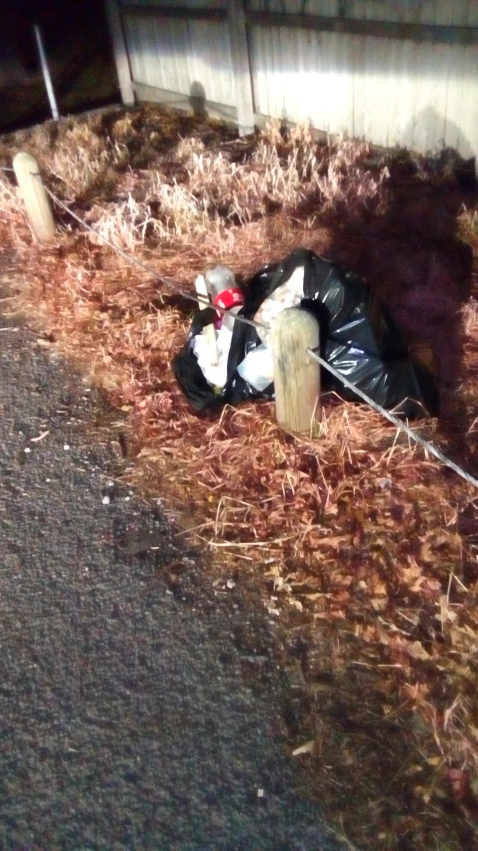 The photograph attached to this rubbish/recycling report