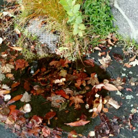 Water Supply, a report photo