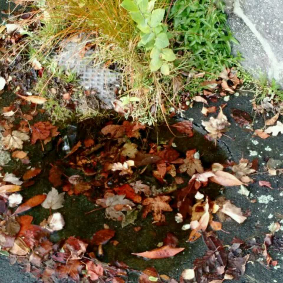The photograph attached to this water supply report