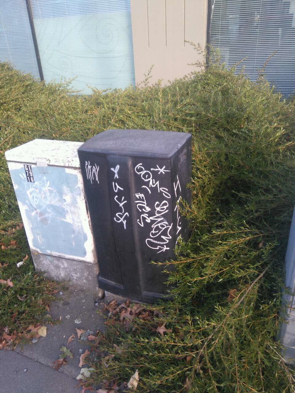 The photograph attached to this graffiti report