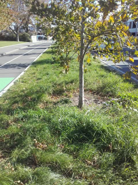 Roading/Streets, a report photo