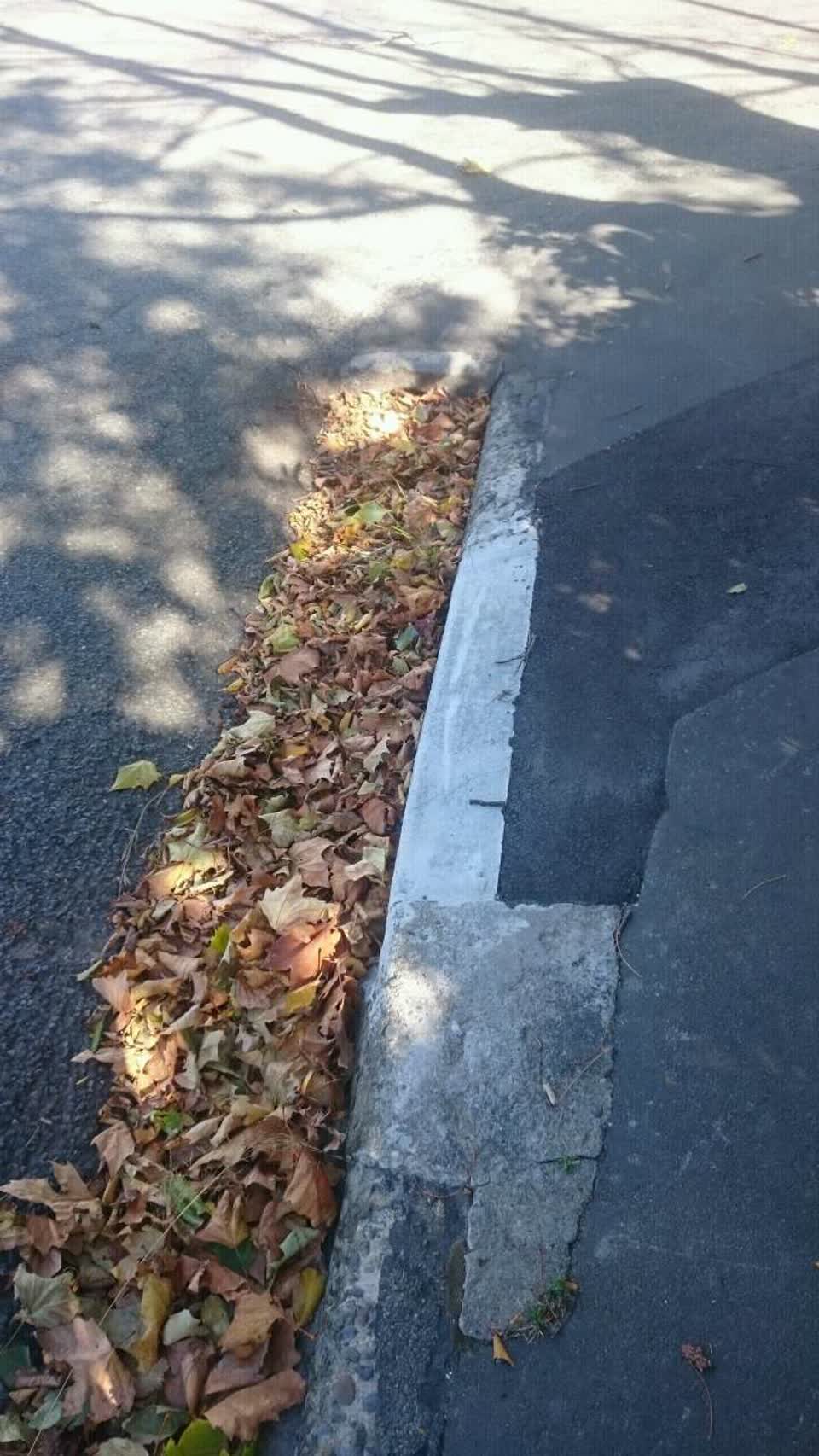 The photograph attached to this wastewater/stormwater report