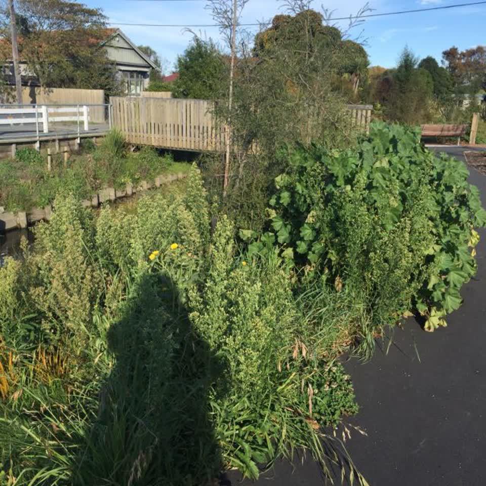 The photograph attached to this parks report