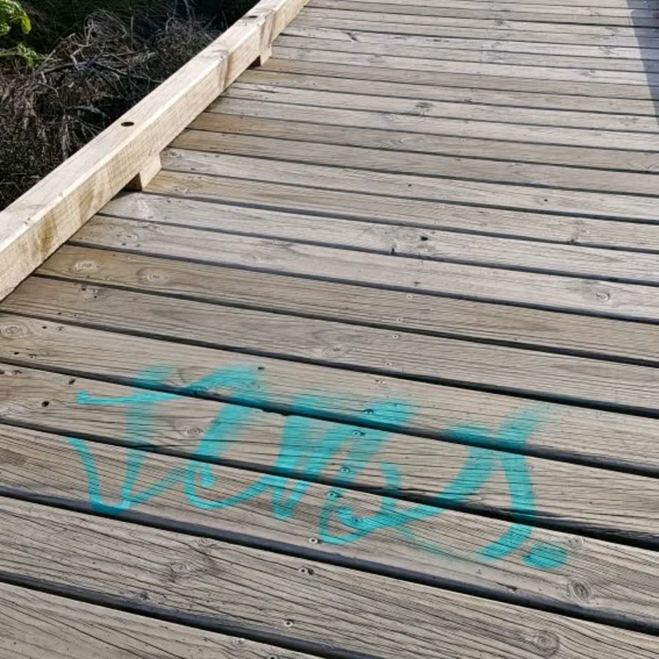 The photograph attached to this graffiti report