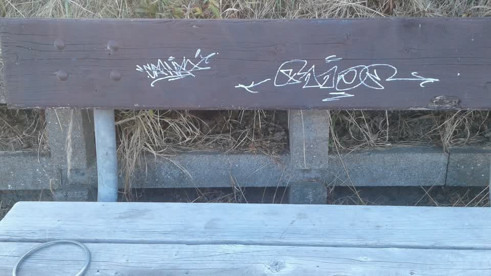 The photograph attached to this graffiti report