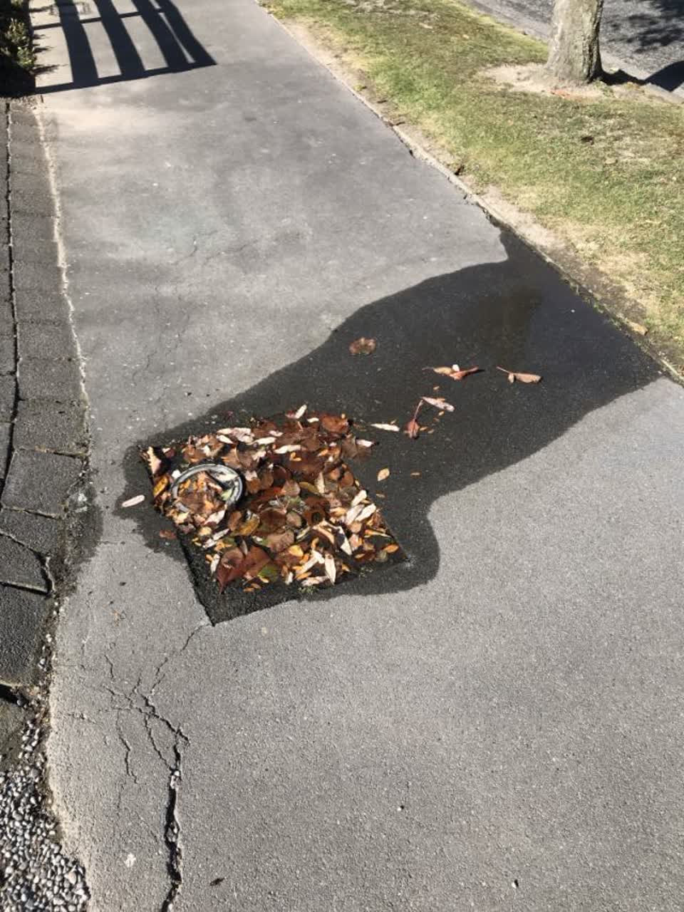 The photograph attached to this roading/streets report
