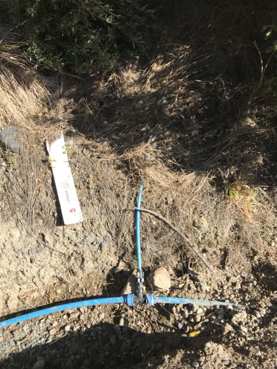 The photograph attached to this water supply report