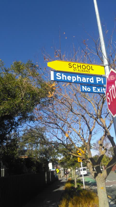 Roading/Streets, a report photo