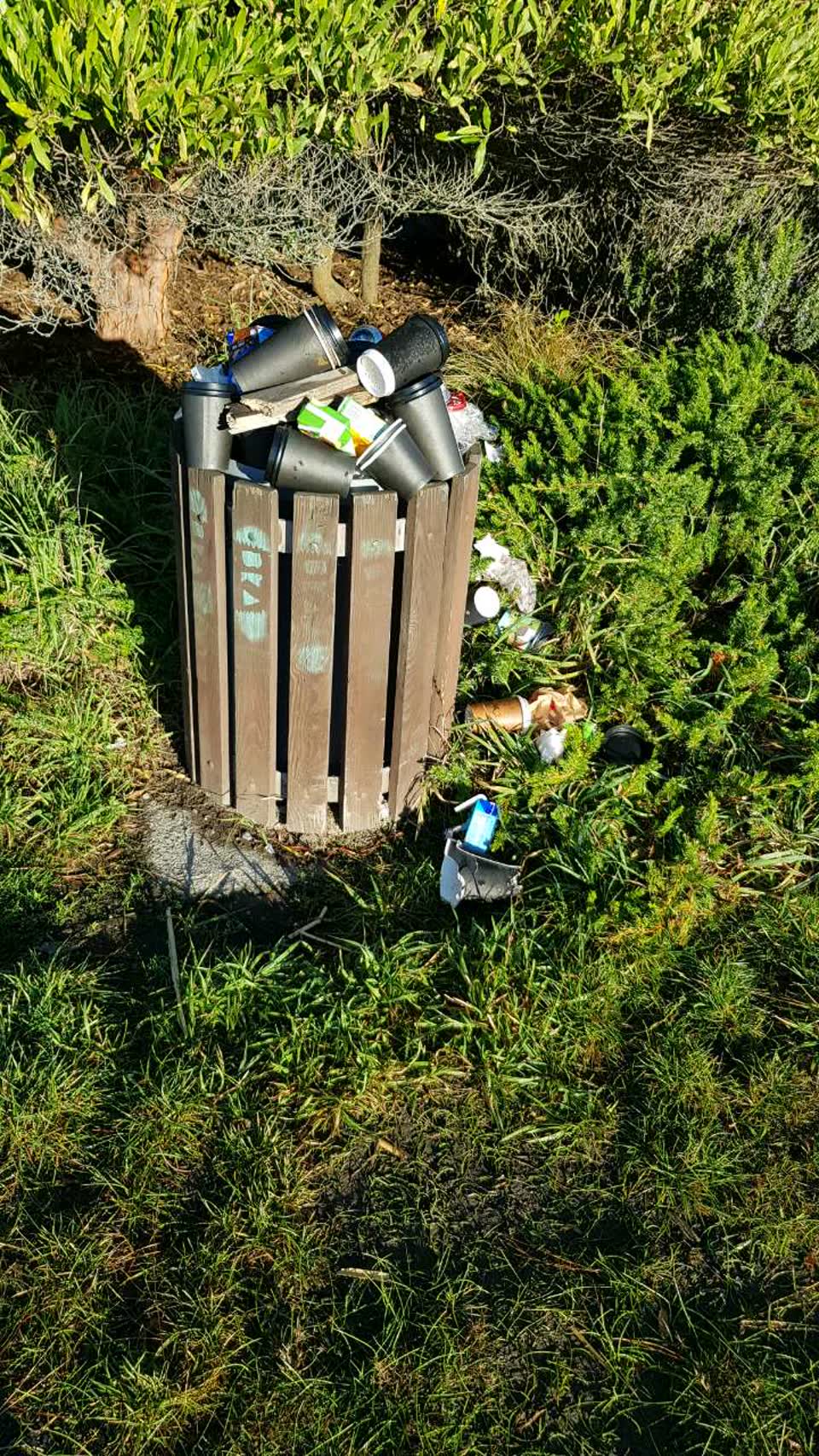 The photograph attached to this rubbish/recycling report