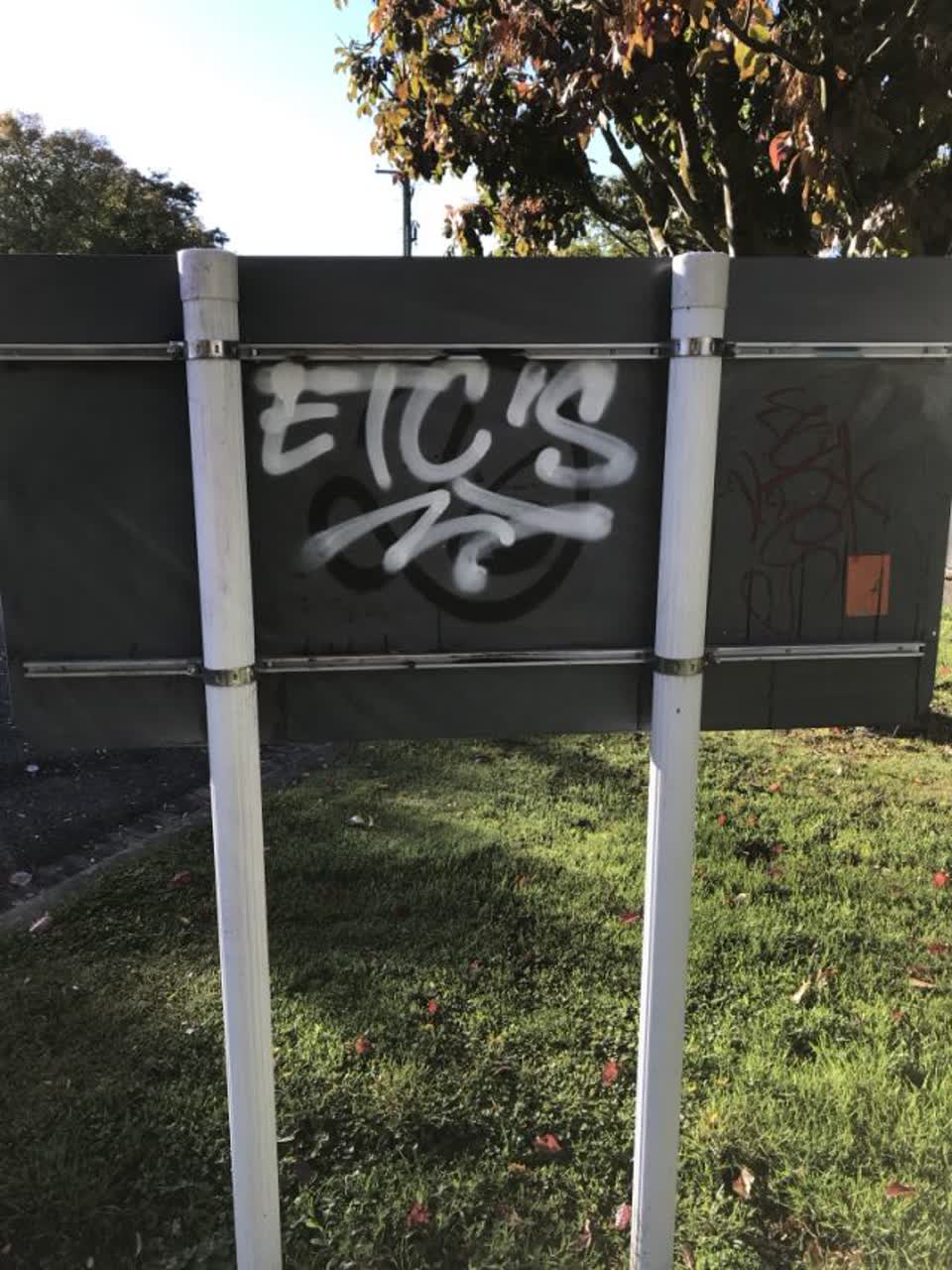 The photograph attached to this graffiti report