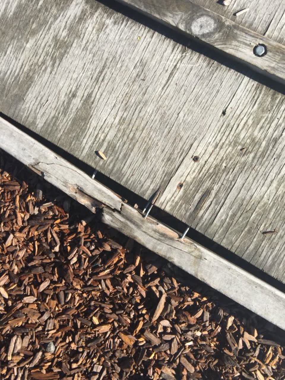 The photograph attached to this parks report