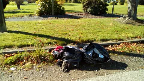 Rubbish/Recycling, a report photo
