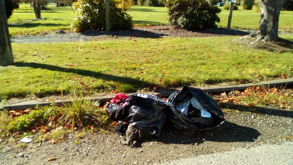 The photograph attached to this rubbish/recycling report