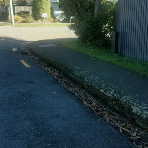 Roading/Streets, a report photo