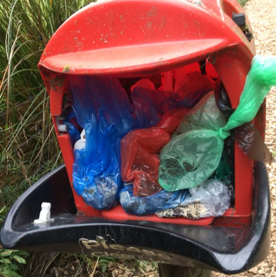 The photograph attached to this parks report