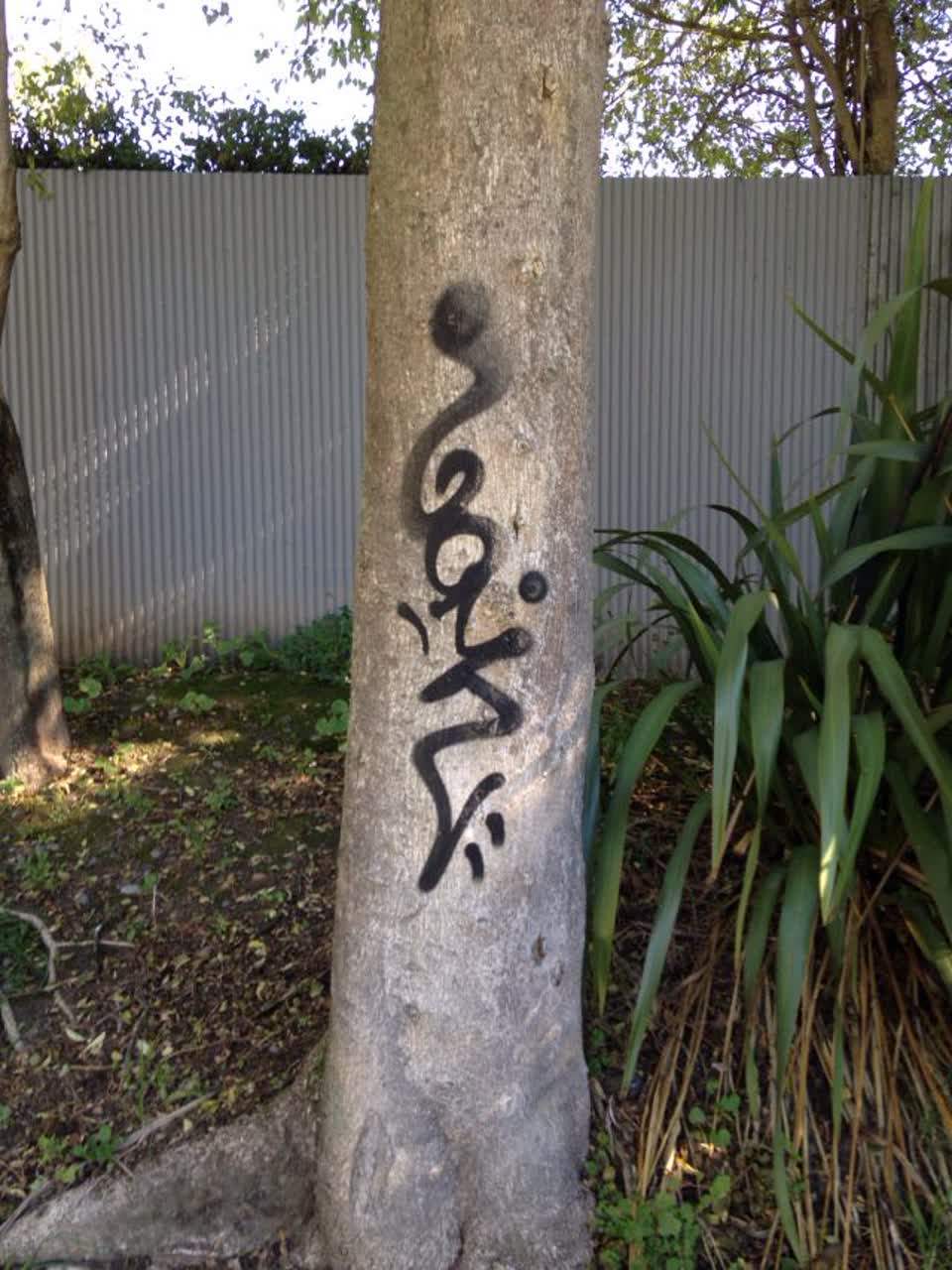 The photograph attached to this graffiti report