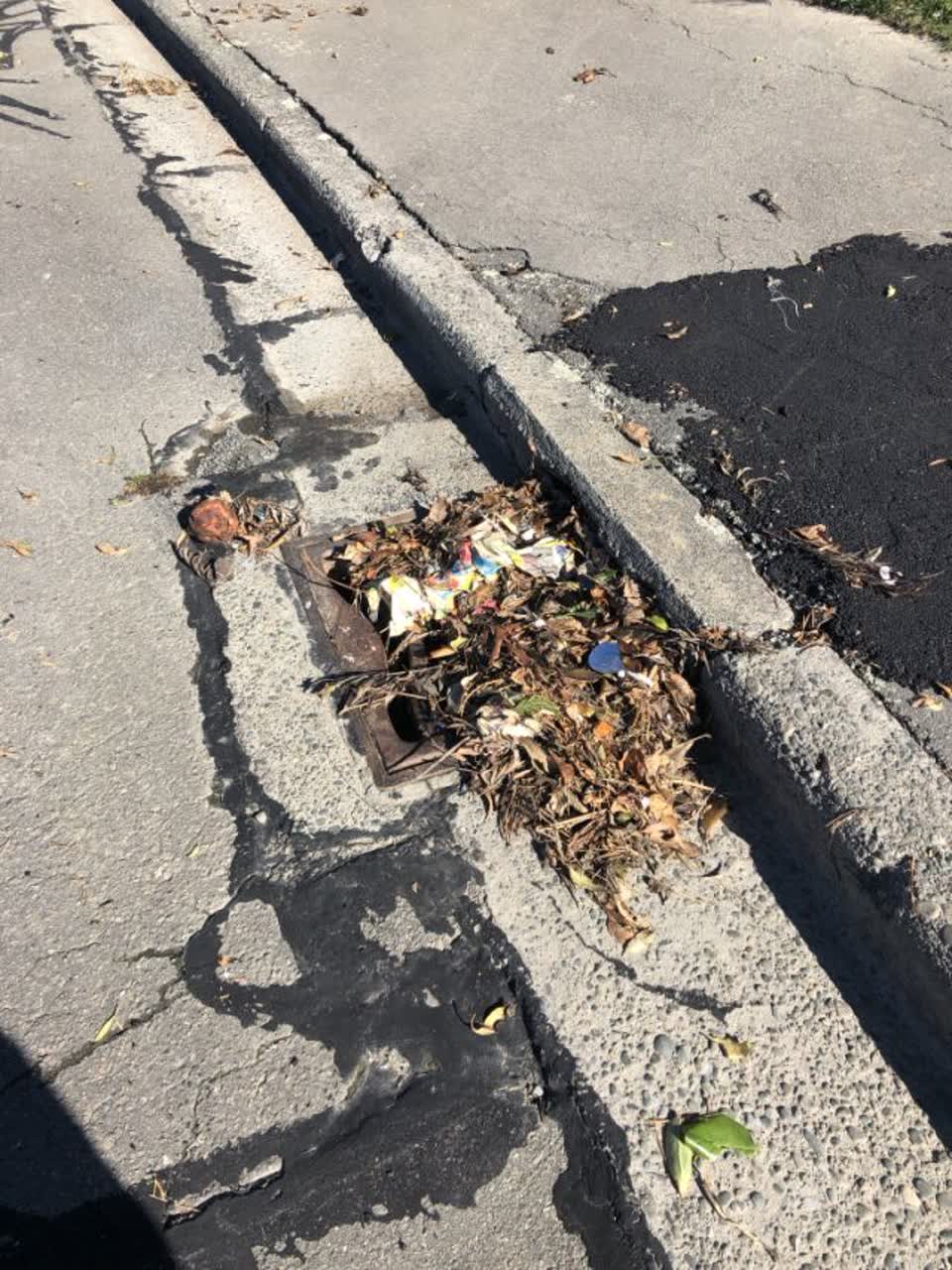 The photograph attached to this wastewater/stormwater report
