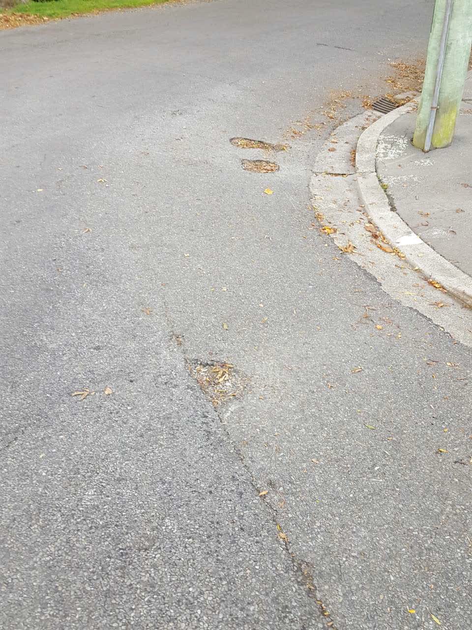 The photograph attached to this roading/streets report