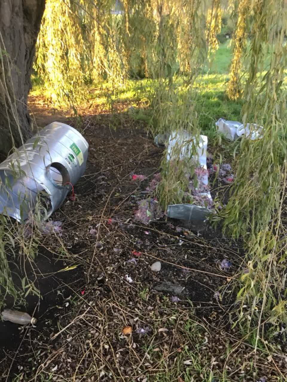 The photograph attached to this rubbish/recycling report