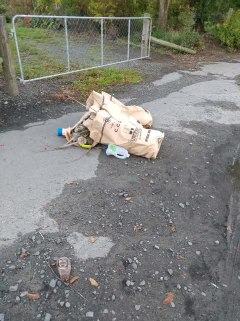 Rubbish/Recycling — a report photo