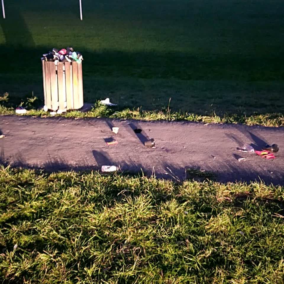 The photograph attached to this rubbish/recycling report