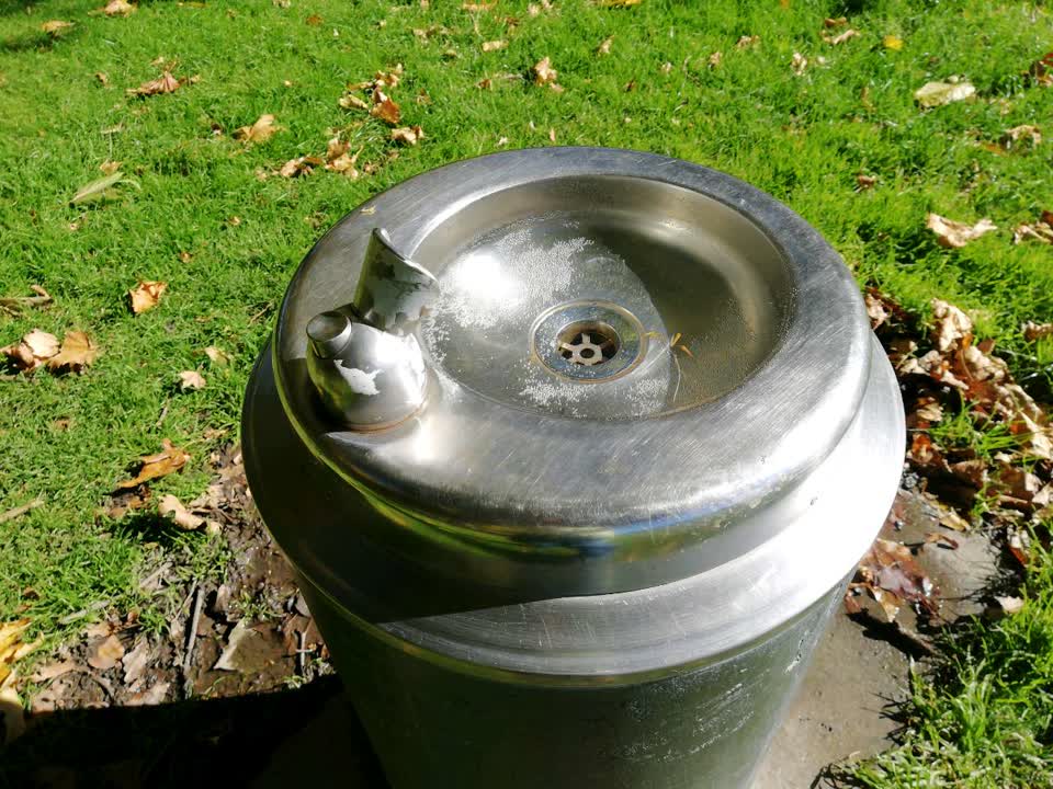 The photograph attached to this parks report