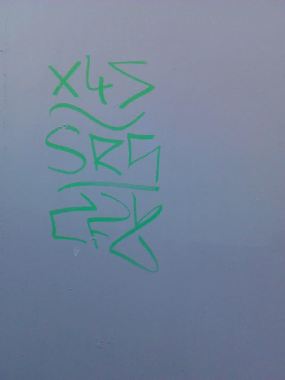The photograph attached to this graffiti report